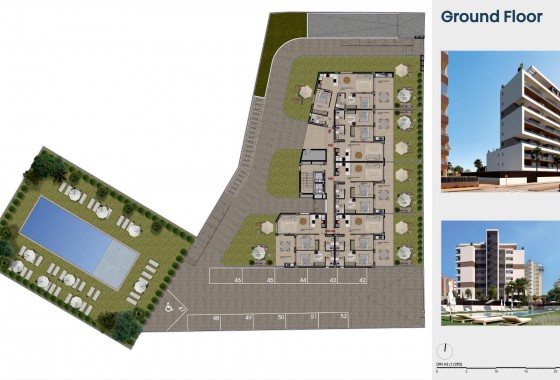Obra nueva - Apartamento - Guardamar del Segura - PUERTO