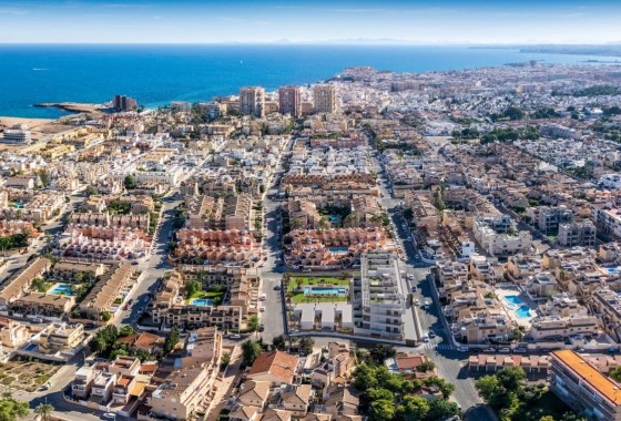 Obra nueva - Apartamento - Torrevieja - Los Frutales