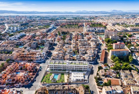 Obra nueva - Apartamento - Torrevieja - Los Frutales