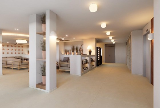 Obra nueva - Apartamento - Torrevieja - Los Frutales