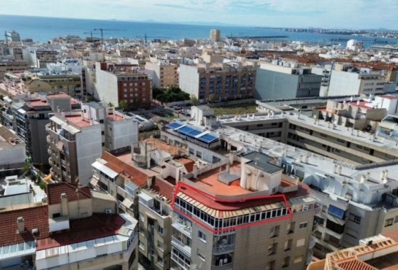 Segunda Mano - Apartamento - Torrevieja - Costa Blanca